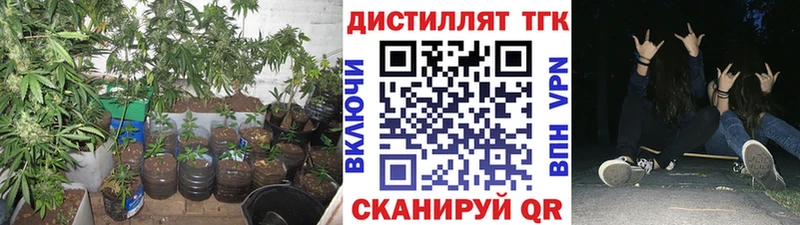 KRAKEN как войти  Тотьма  ТГК гашишное масло 