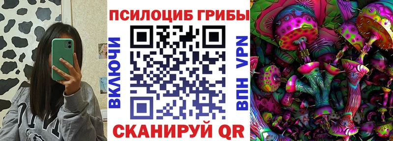магазин    Тотьма  omg tor  Псилоцибиновые грибы GOLDEN TEACHER 
